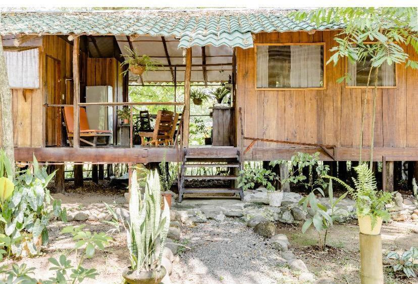 Luminosa Uvita Hostel Экстерьер фото