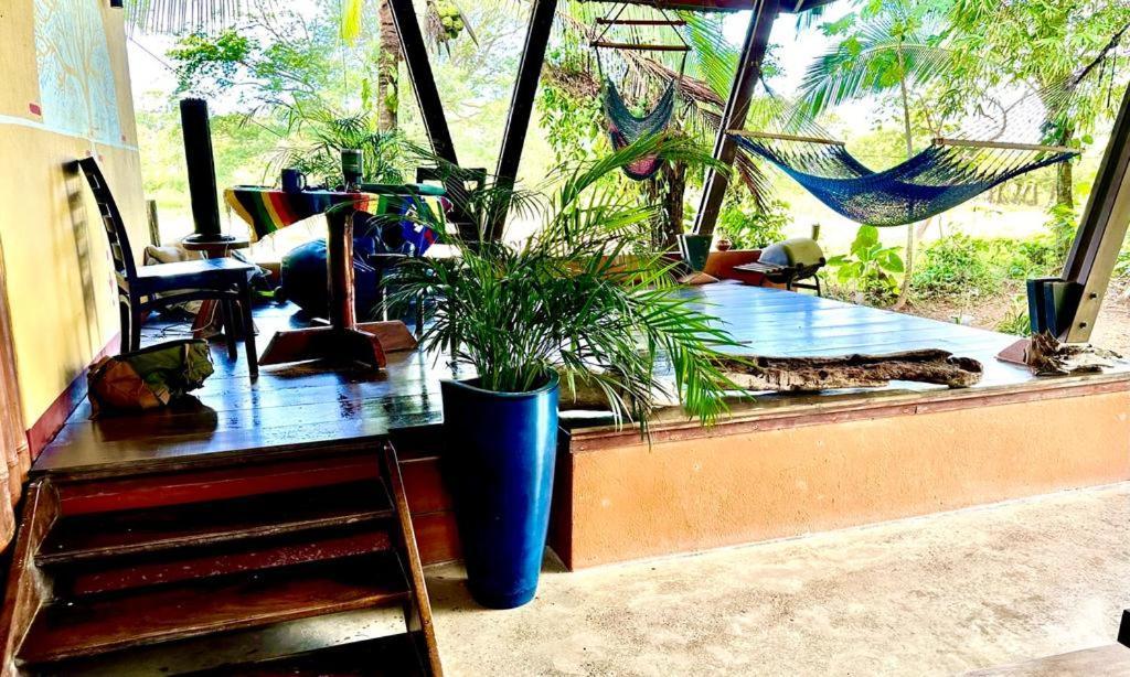 Luminosa Uvita Hostel Экстерьер фото